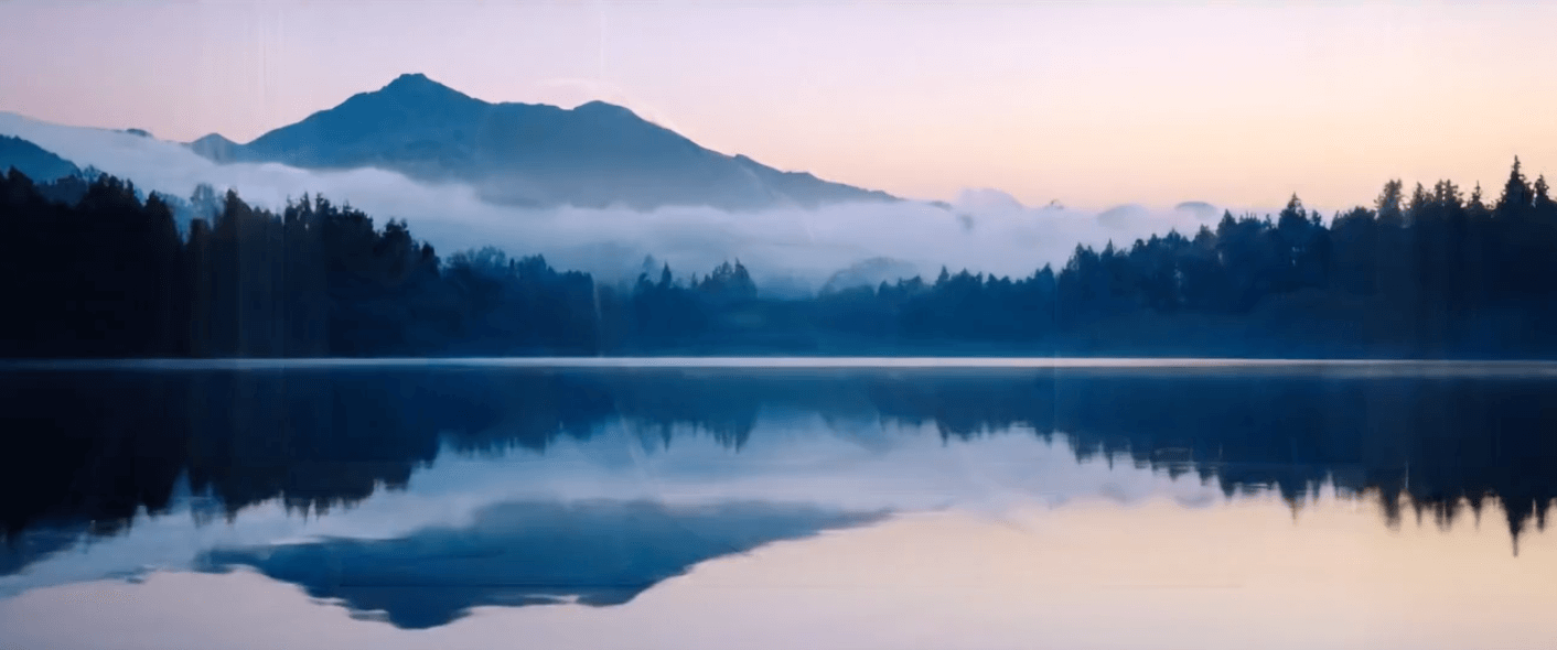 image of road going through a forest